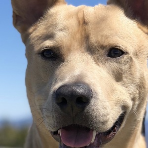 Fundraising Page: Zachary Catillaz